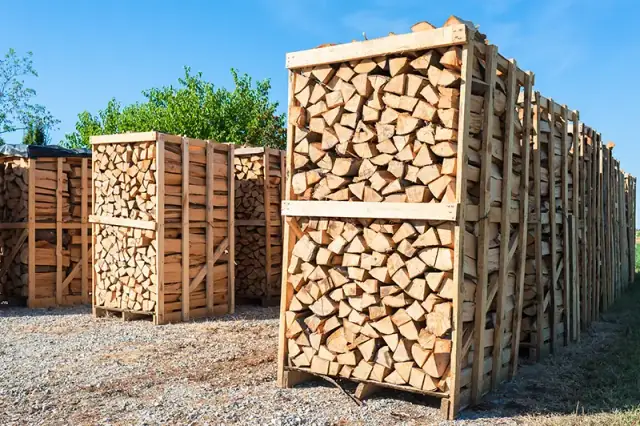 Stères de bois de chauffage fendu, rangés sur palettes en plein air