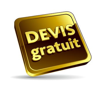 ramonage-devis-gratuit